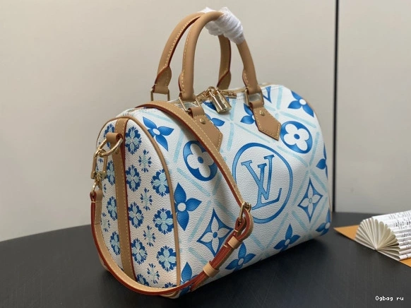 Louis Vuitton SPEEDY 25 0710